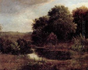 Mose I Udkanten Af En Skov Mose I Udkanten Af En Skov
