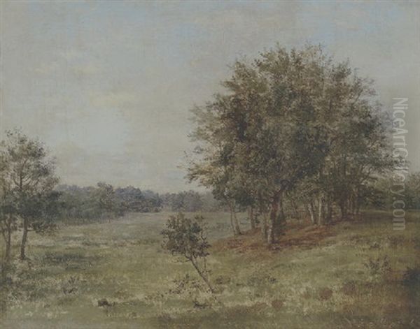 Parti Fra Dyrehaven - view 1