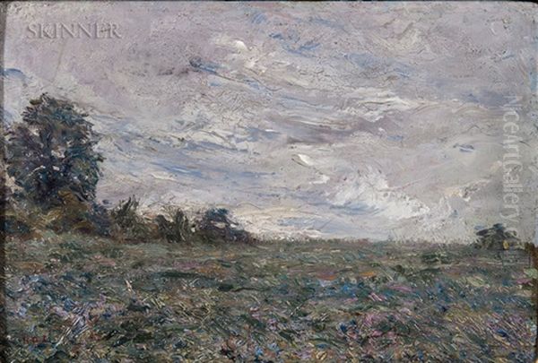 Summer Meadow - view 1