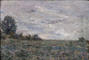 Summer Meadow
