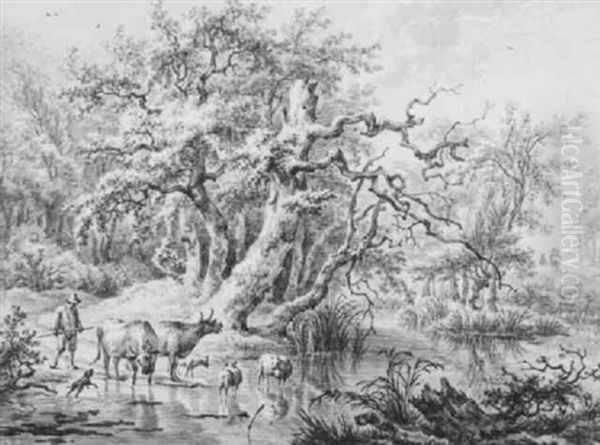 Herde An Der Tranke In Waldiger Landschaft - view 1