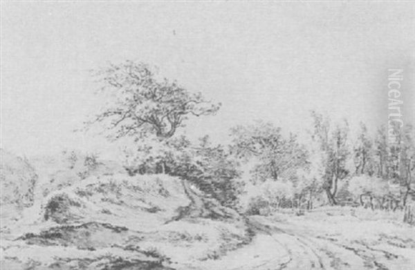 Dune Landscape - view 1