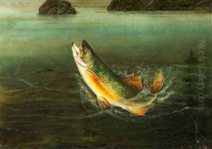 Brook Trout by Harry Driscole