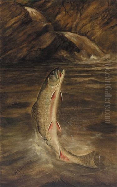 Leaping Trout - view 1