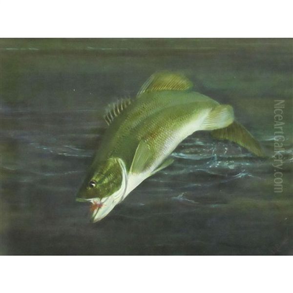The Day's Catch - view 1