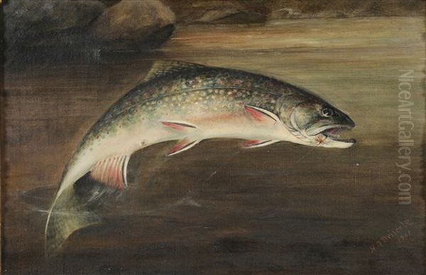 Hooked Trout - view 1