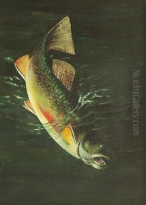Trout by Harry Driscole