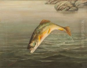 Brook Trout by Harry Driscole