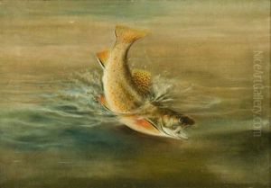 Brook Trout by Harry Driscole