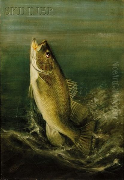 Small Mouth Bass - view 1