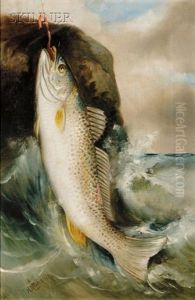 Caught Trout by Harry Driscole