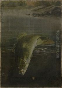Fish Portrait by Harry Driscole