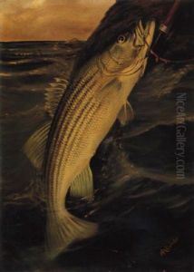 Striped Bass by Harry Driscole