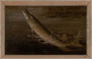 Hooked Pickerel by Harry Driscole