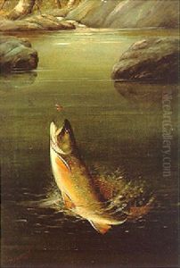 Jumping Trout by Harry Driscole