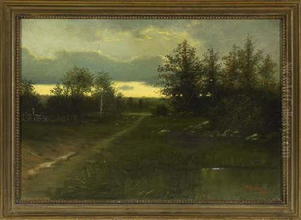 Country Road In A Wooded Landscape - view 1