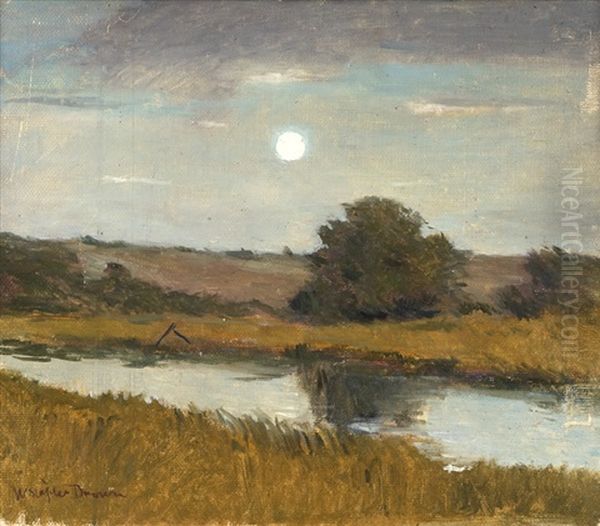 Pond In A Nocturnal Landscape - view 1