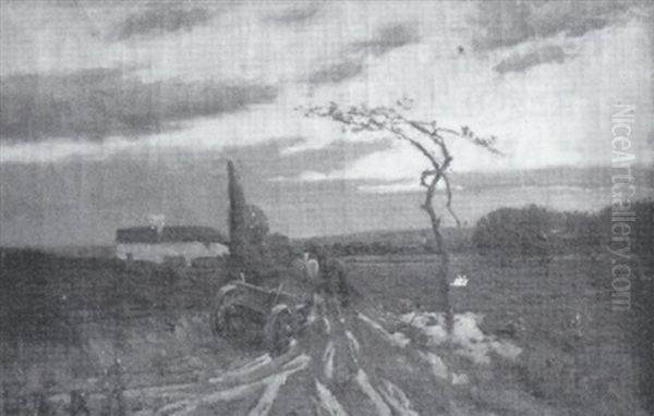 Abendliche Feldlandschaft - view 1