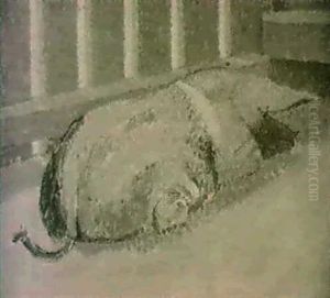Pig Asleep, Rosamund