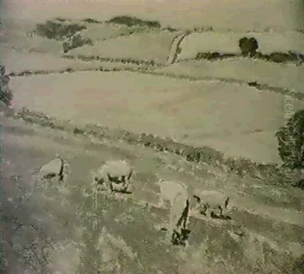 Pigs In A Field - view 1