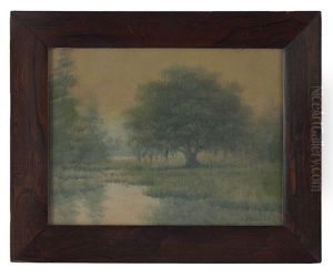 Live Oak Tree, Louisiana Bayou by Alexander John Drysdale