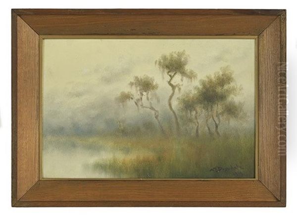 Early Morning In A Louisiana Swamp - view 1