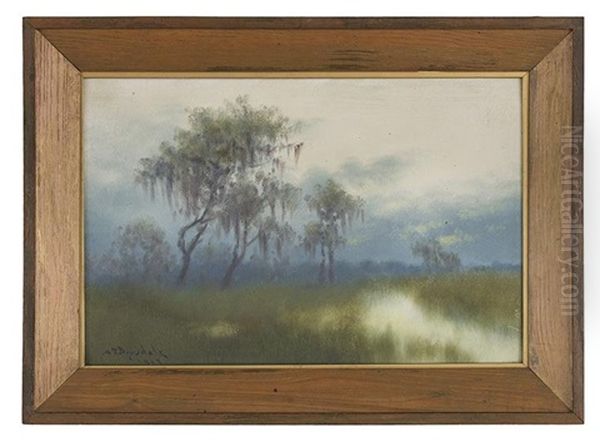 Evening In A Louisiana Swamp - view 1
