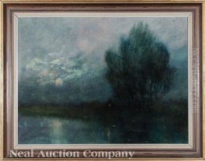 Moonlight On The Louisiana Bayou