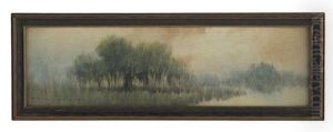 Cypress Trees