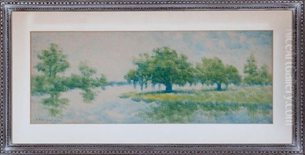 Live Oak Trees On The Louisiana Bayou - view 1