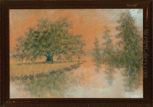Live Oak And Cypress Trees, Louisiana Bayou