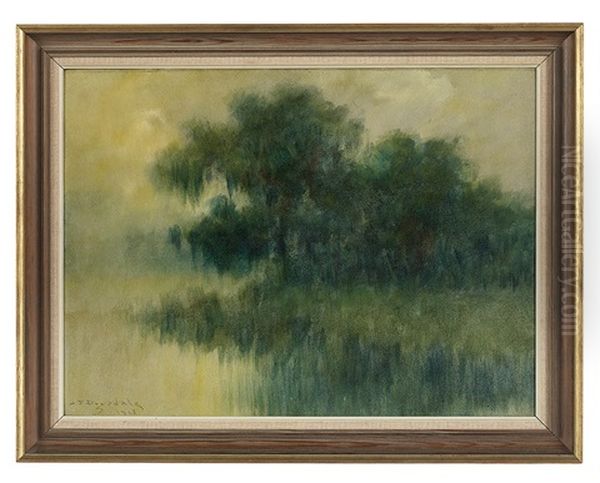 Misty Morning On The Bayou With Live Oaks - view 1