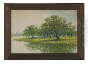 Summer Afternoon On The Bayou