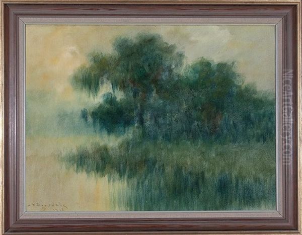 Live Oak Tree On The Louisiana Bayou - view 1