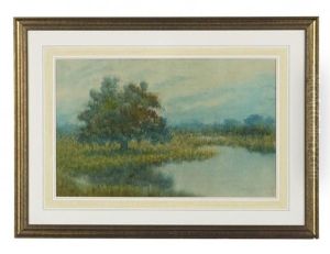 Live Oak On The Bayou by Alexander John Drysdale