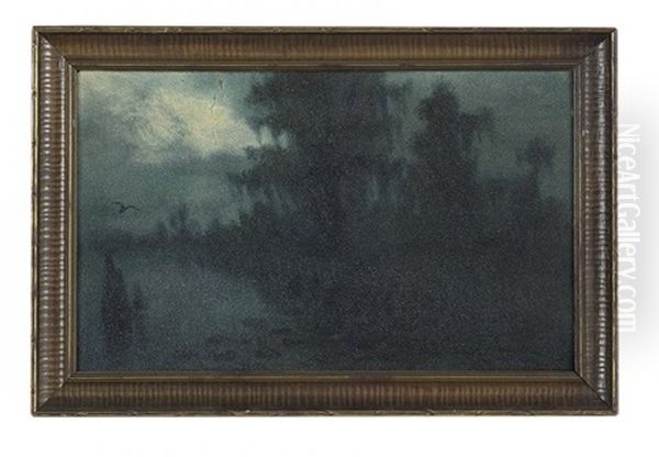 Early Morning In A Louisiana Swamp - view 1