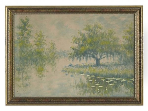 Cypress By A Pond With Lily Pads - view 1
