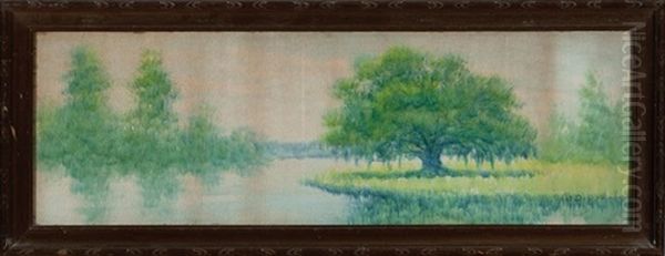 Live Oak Tree, Louisiana Bayou - view 1