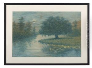 Bayou Landscape With Water Lilies by Alexander John Drysdale