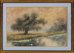 Bayou Landscape With Live Oak And Waterlilies