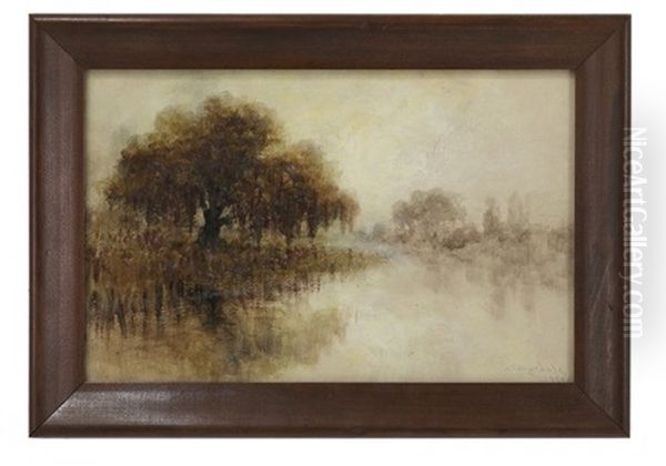 Bayou Landscape At Dusk - view 1
