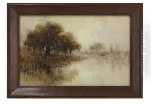 Bayou Landscape At Dusk