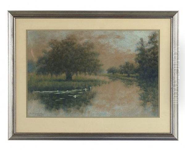 Pond With Water Lilies - view 1