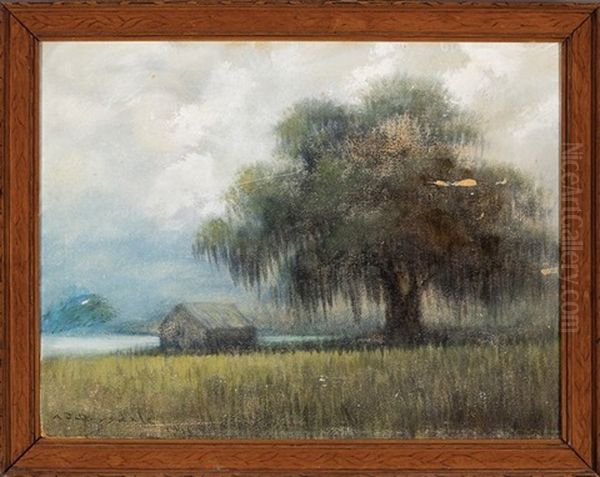 Bayou Landscape With Live Oak And Cabin - view 1