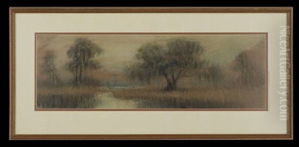 Cypress At Dusk - view 1