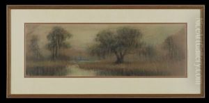 Cypress At Dusk