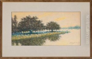 Live Oak Trees In The Louisiana Bayou by Alexander John Drysdale