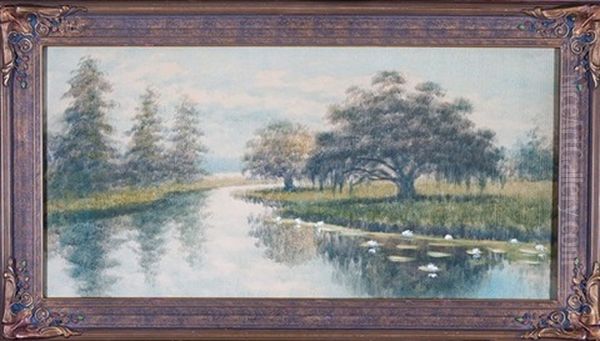 Live Oak And Cypress Trees In Louisiana Bayou - view 1