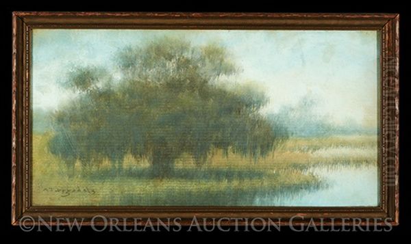 Bayou Cypress - view 1