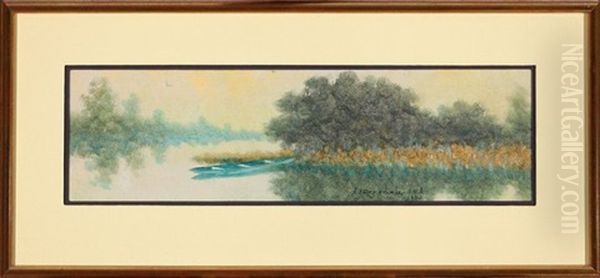 Pirogue By The Shore, Louisiana Bayou - view 1